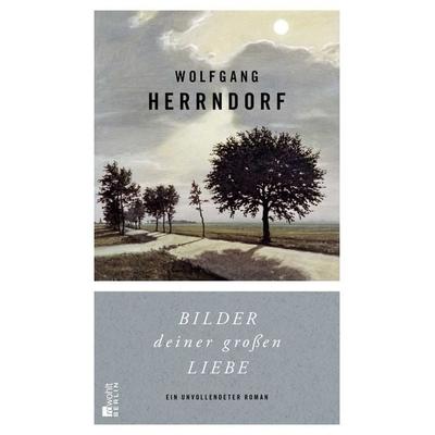 Bilder deiner großen Liebe, Gebundene Ausgabe von Wolfgang Herrndorf, Rowohlt Berlin
