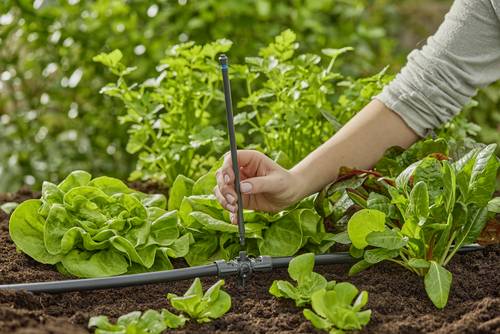GARDENA Micro-Drip System 13326-20 Verlängerungsrohr 13mm (1/2") Ø
