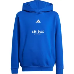 adidas ALLSZN GFX Hoodie Jungen | Gr. 128 | blau - blau