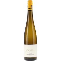 Sulzfelder Sauvignon Blanc trocken Weingut Zehnthof 2025 BIO