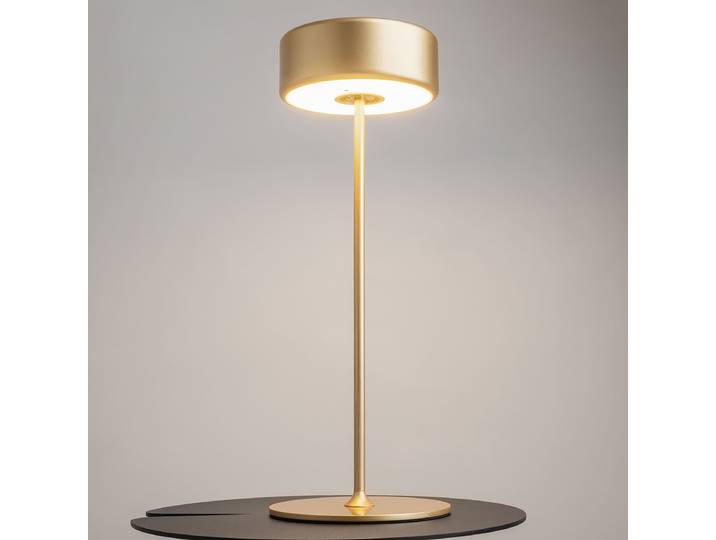 Lampe LED AI Collaboration type B 12 x 35 x 12cm Doré/Doré Matériau : Métal Surface en métal : Laqué Type de métal : Aluminium LED Module LED