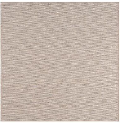 SAFAVIEH Sisal Performance Hazal Casual Rug
