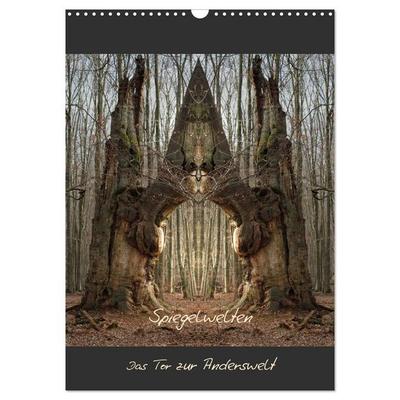 Spiegelwelten - Das Tor zur Anderswelt (Wandkalender 2027 DIN A3 hoch), CALVENDO Monatskalender