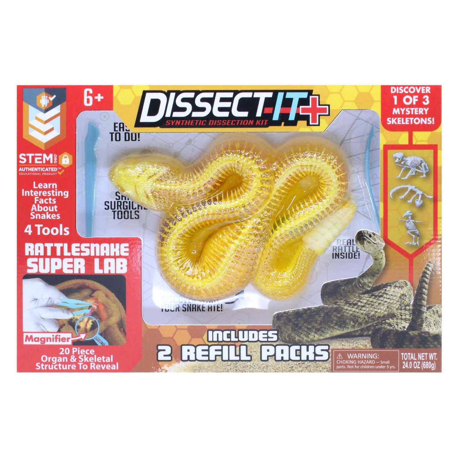 Joker DISSECT-IT Seziere eine Klapperschlange Mega-Geschenkbox (65453920)