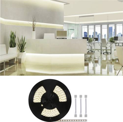 Paulmann 71042 LED-Streifen-Erweiterung mit Stecker 24V 20m Warmweiß 20m