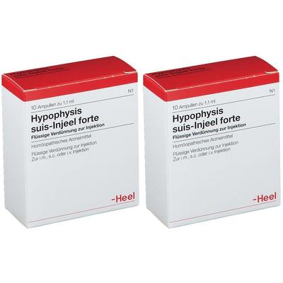 Hypophysis Suis Injeel forte Ampullen 2x 2x10 St