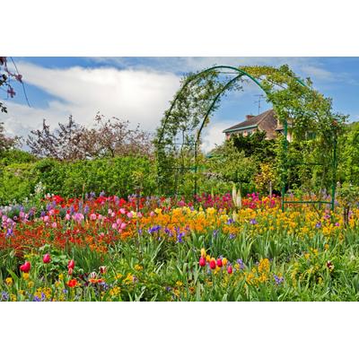 Papermoon "GARTEN MONET-BLUMEN BÄUME PFLANZEN PARK STEINE BLÜTEN"