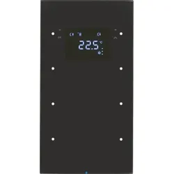Berker Touchsensor 3-fach Glas schwarz 75643055