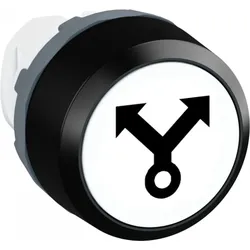 ABB MP9-1218 Drucktaster beschriftet "SELEKTION", Symbol Code E2300455 ehemaliger Typ MP1-10W-L SELEKTIO