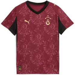 PUMA Galatasaray Istanbul Ausweichtrikot 2025/26 ohne Sponsor Kinder 03 - team regal red/puma team gold 152
