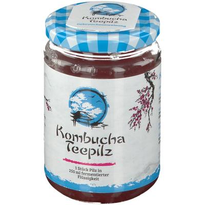 Kombucha Teepilz 1 St Tee