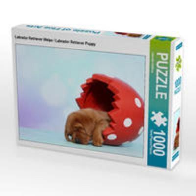 CALVENDO Puzzle Labrador Retriever Welpe / Labrador Retriever Puppy 1000 Teile Lege-Größe 64 x 48 cm Foto-Puzzle Bild von Jeanette Hutfluss