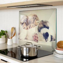 GLASPLATTE 60x52 cm Katzen und Hunde
