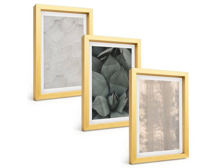BILDER SET 3er Set - 20x30 cm Goldrahmen - Sommerliche tropische Texturen