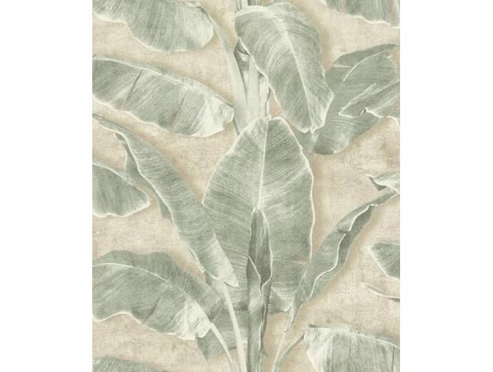 Rasch Selbstklebende Tapete Bananenblätter in Grün Beige 6,00 x 0,53 m