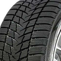 Dimax Alpine 195/65 R15 91H 3PMSF Winterreifen