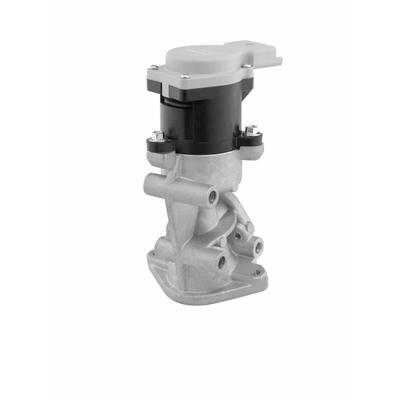 BORGWARNER AGR-Ventil 710976D für LAND ROVER