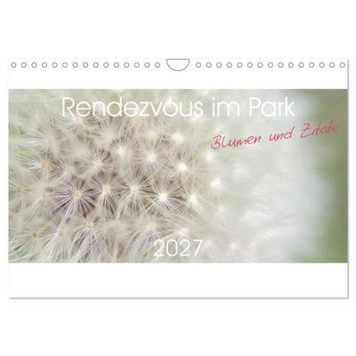 Rendezvous im Park (Wandkalender 2027 DIN A4 quer), CALVENDO Monatskalender
