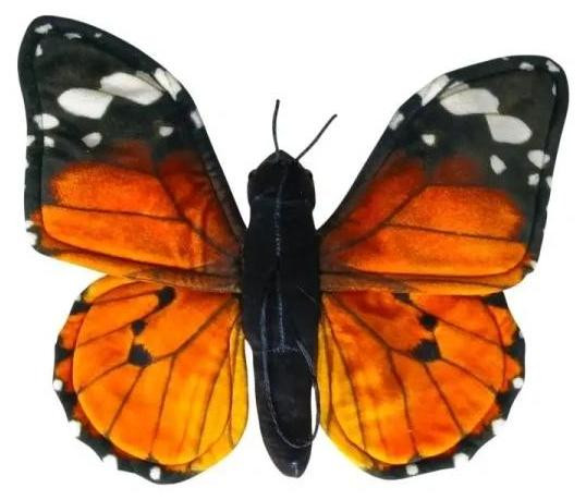 Dubi Plusz Monarchvlinder (Danaus plexippus)