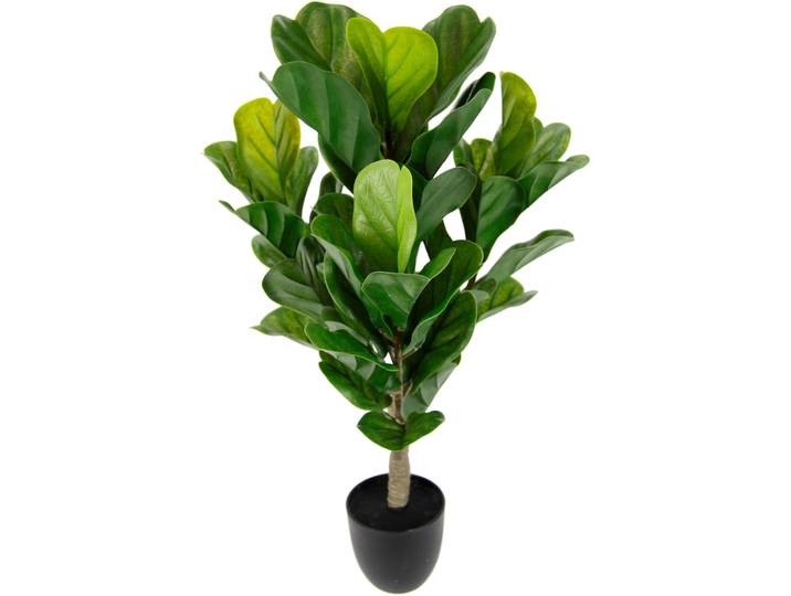 Kunstpflanze I.GE.A. Künstliche Pflanze Feigenbaum Kunstpflanze Zimmerpflanze Grünpflanze , grün, B:36cm H:64cm L:36cm, Kunststoff, Kunstpflanzen, Kunstpflanze, Kunstbaum Feigenblattpflanze Feigenbaum Pflanze Kunstbaum Dekopflanze