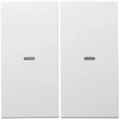 Berker Tast-Abdeckung 80960399 S.x 2fach polarweiss matt