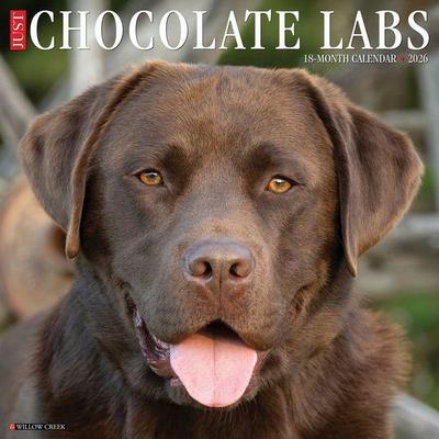 Chocolate Labs 2026 Wall Calendar