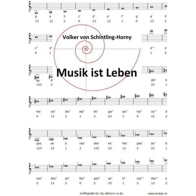 Musik ist Leben, Gebundene Ausgabe von Volker Schintling-Horny, Tredition, 978-3-7323-2964-9