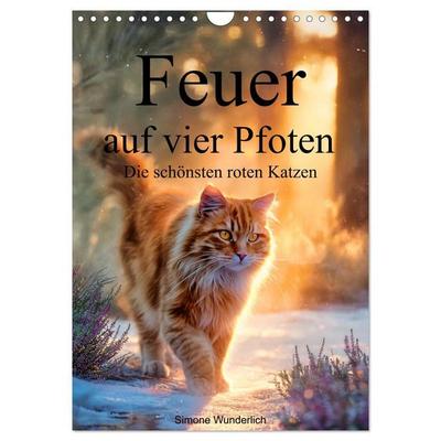 Feuer auf vier Pfoten - Die schönsten roten Katzen (Wandkalender 2027 DIN A4 hoch), CALVENDO Monatskalender