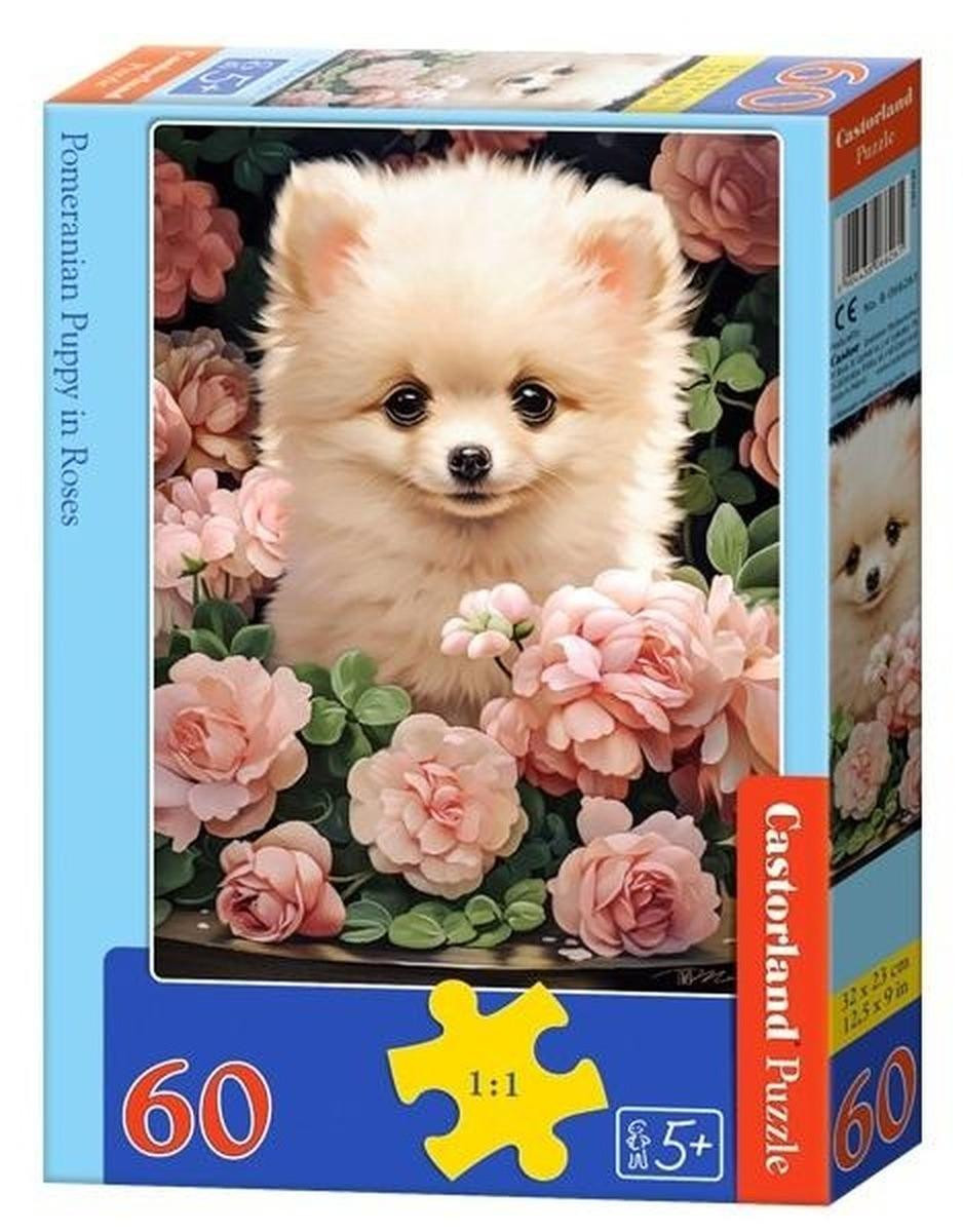 Castorland Puzzel Een Pommerse pup in rozen - 60 stukjes - Midex