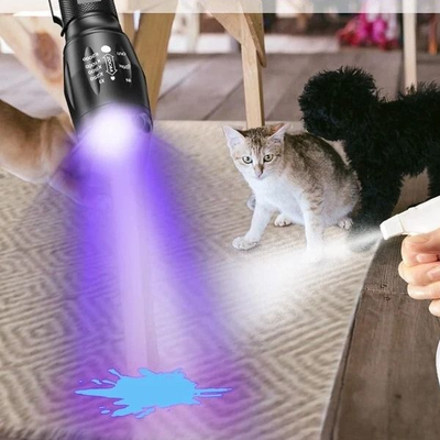 UV Flashlight Detector Torch With Dual Light Zoomable Blacklight For Currency And ID Verification UV Flashlight Detector Torch With Dual Light Zoomable Blacklight For Currency And ID Verification