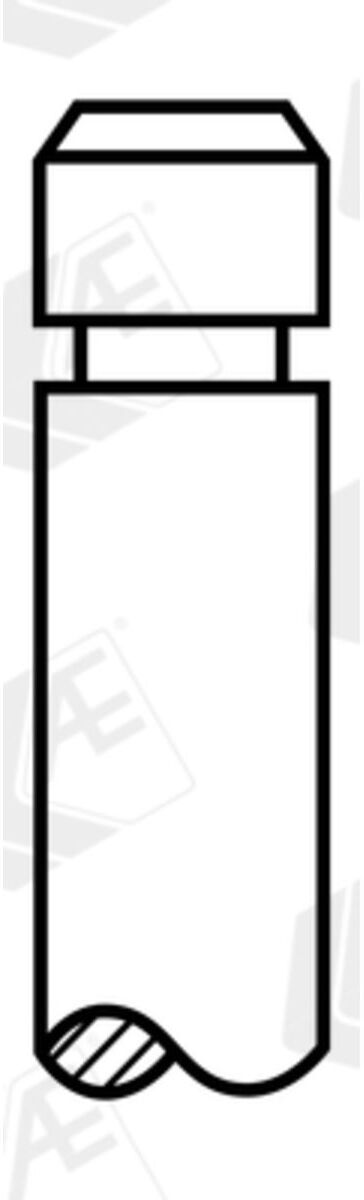 Auslassventil AE V95280