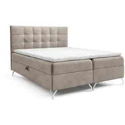 BOXBETT Candela