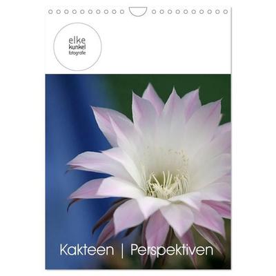 Kakteen Perspektiven (Wandkalender 2027 DIN A4 hoch), CALVENDO Monatskalender