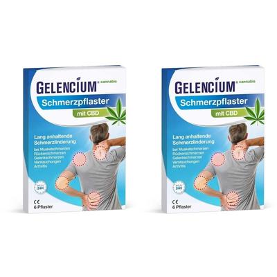 Gelencium Schmerzpflaster 2x 2x6 St Pflaster