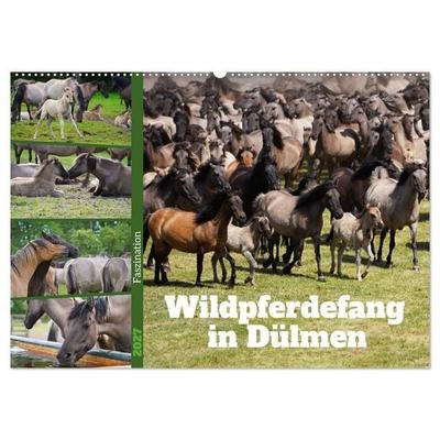 Faszination Wildpferdefang in Dülmen (Wandkalender 2027 DIN A2 quer), CALVENDO Monatskalender