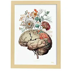 POSTER Anatomie Gehirn A4 Rahmen Aus Hellem Holz