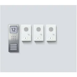 Siedle, Klingel + Türsprechanlage, Audio-Set Set CAB 850-3 E/W Basic Edelstahl gebürstet (Kabelgebunden)
