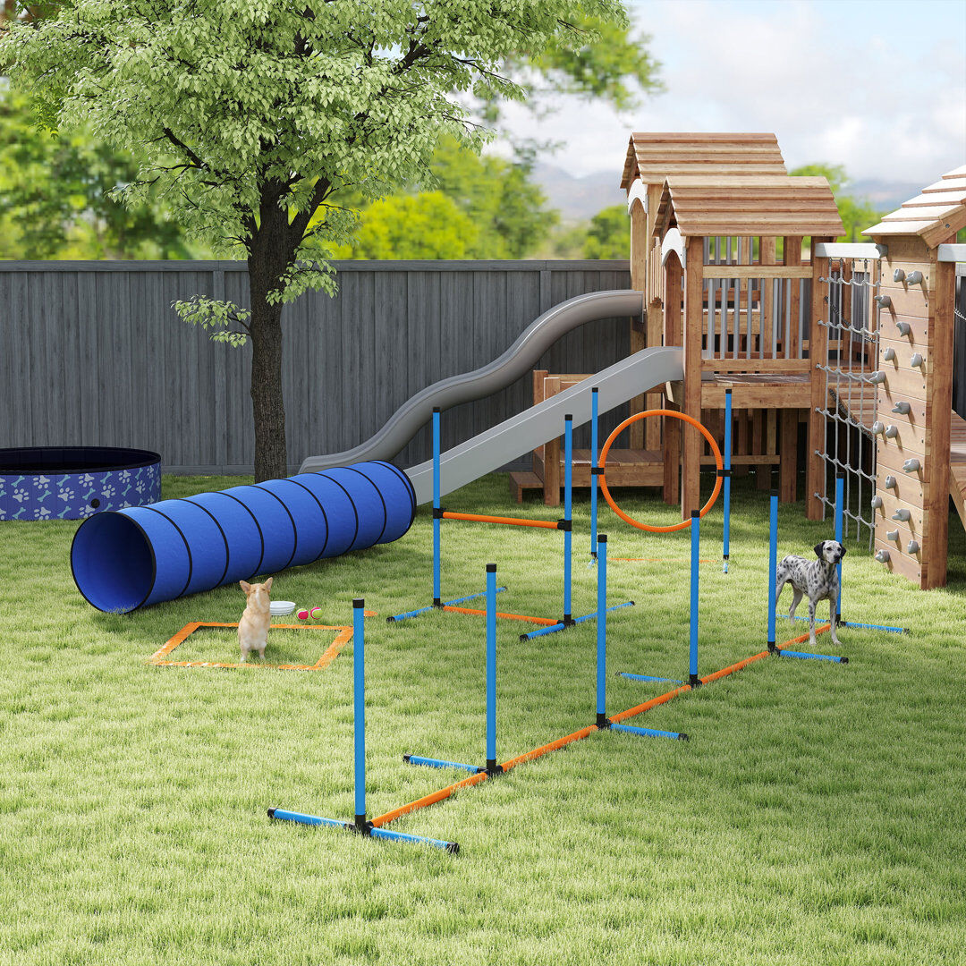 PawHut Dog Agility Training Equipment 8PCS Agility Training Set for Garden Orange, Blue, Black Extra Small (2-4kg), Small (4-9kg), Large (6+kg)