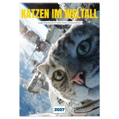 Katzen im Weltall - lustiger Katzenkalender für Kinder, Familien und Katzenliebhaber (Wandkalender 2027 DIN A2 hoch), CALVENDO Monatskalender