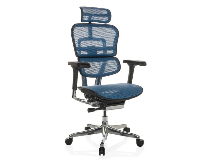 ERGOHUMAN GEN2 Netz - Luxus Chefsessel Blau