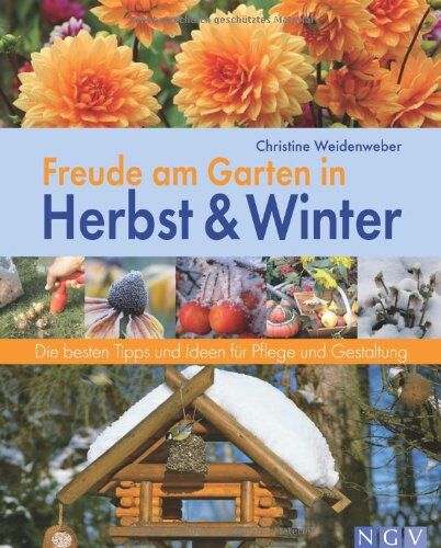 Christine Weidenweber - Freude am Garten in Herbst und Winter. Die besten Tipps und Ideen für Pflege und Gestaltung - Preis vom 11.10.2026 03:10:56 h