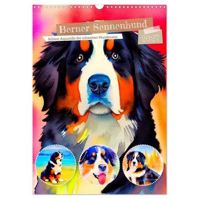 Berner Sennenhund 2027. Schöne Aquarelle der schweizer Hunderasse (Wandkalender 2027 DIN A3 hoch), CALVENDO Monatskalender