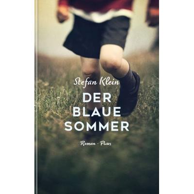 Der blaue Sommer, Gebundene Ausgabe von Stefan Klein, Picus, 978-3-7117-2170-9