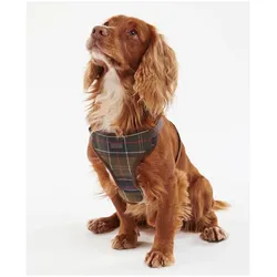 Barbour Travel And Exercise Dog Harness (M, Hund), Halsband + Leine