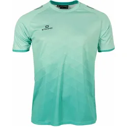 Stanno, Herren, Sportshirt, Altius Trikot (XXL), Grün
