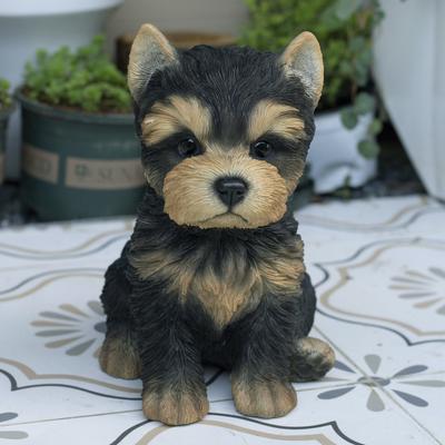 Hi-Line SoReal Brown Baby YorkTerrier