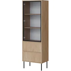 VITRINE Domi 60 2S