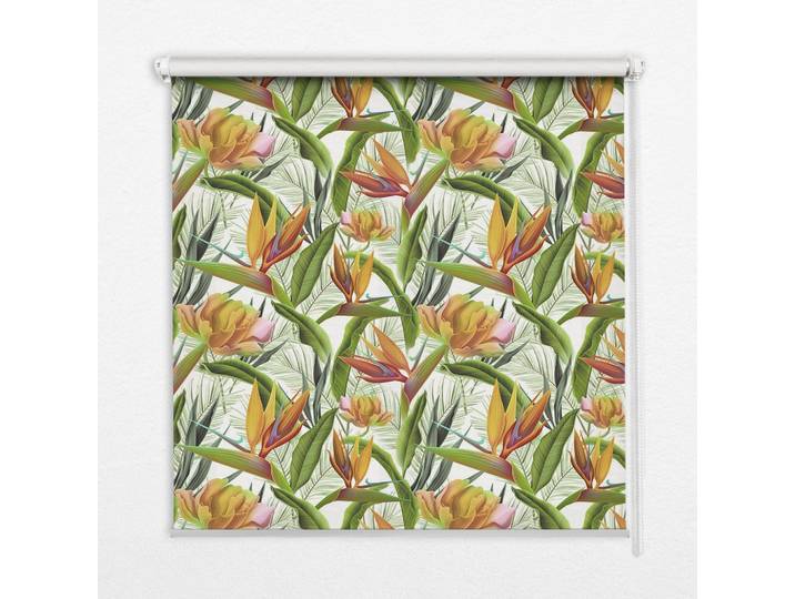 INNENROLLO - Fensterrollo - Rollo - 60x40 cm - Exotische Pflanzen
