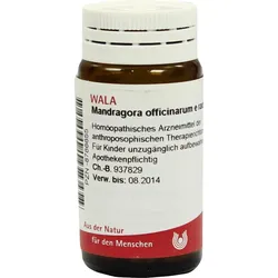 Mandragora Offic E Rad D 4 20 G