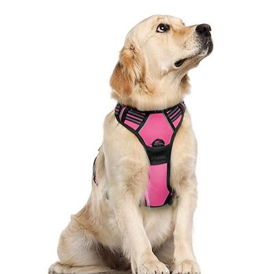 Hunde Pelzige Kleintiere Geschirre Tragbar Langlebig Sicherheit Outdoor Gehen Farbblock 1 Stück